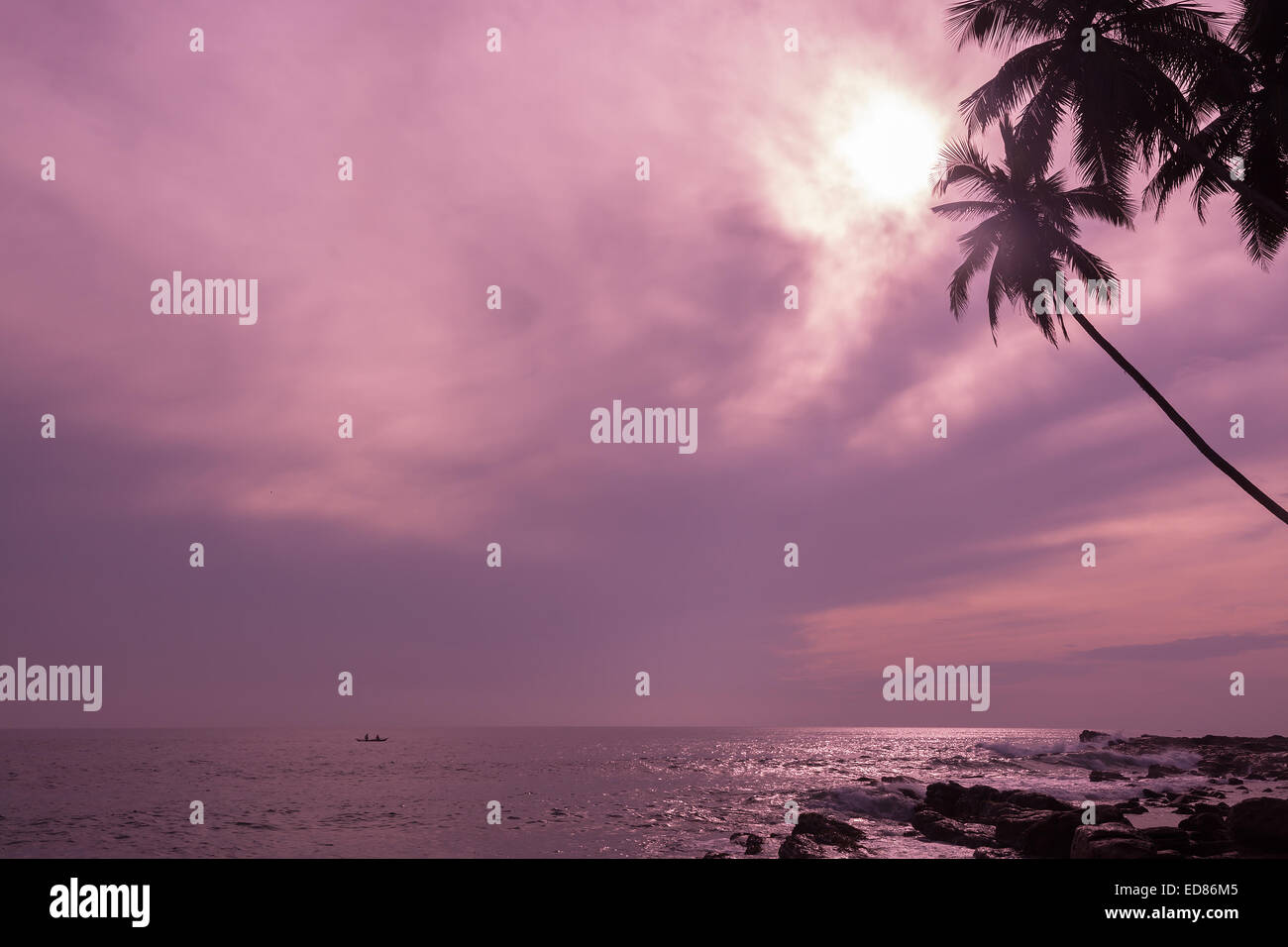 Piccola barca da pesca in oceano tropicale paesaggio con orizzonte e palme da cocco in viola colore rosa filtro. Foto Stock