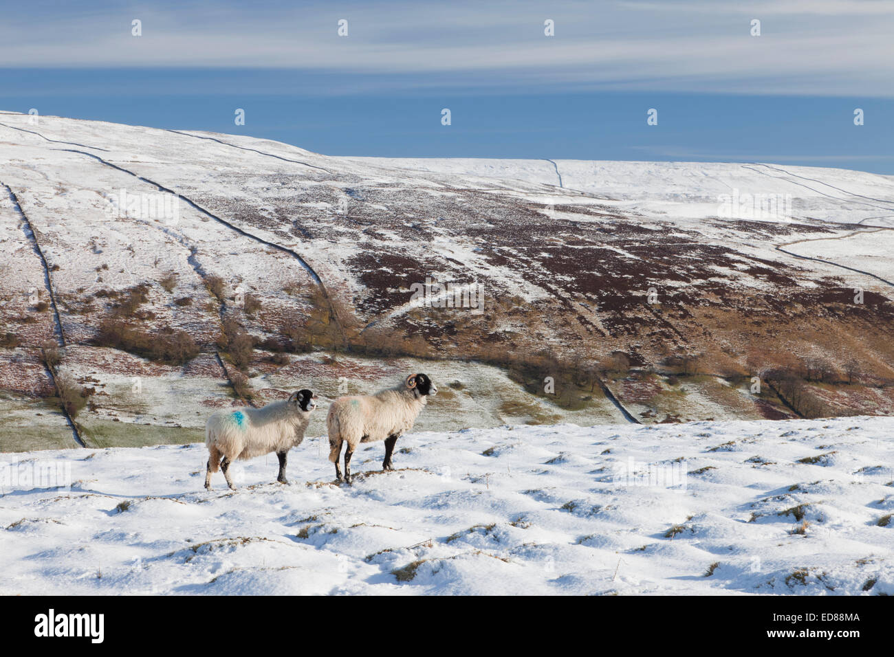 Littondale sotto la neve nel Yorkshire Dales, Inghilterra. Foto Stock