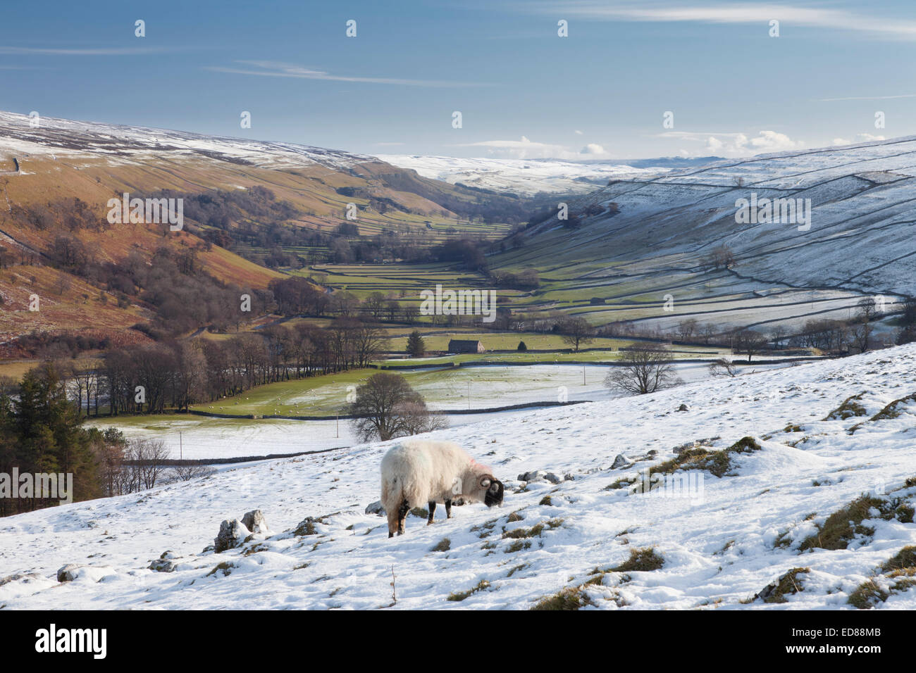 Littondale sotto la neve nel Yorkshire Dales, Inghilterra. Foto Stock