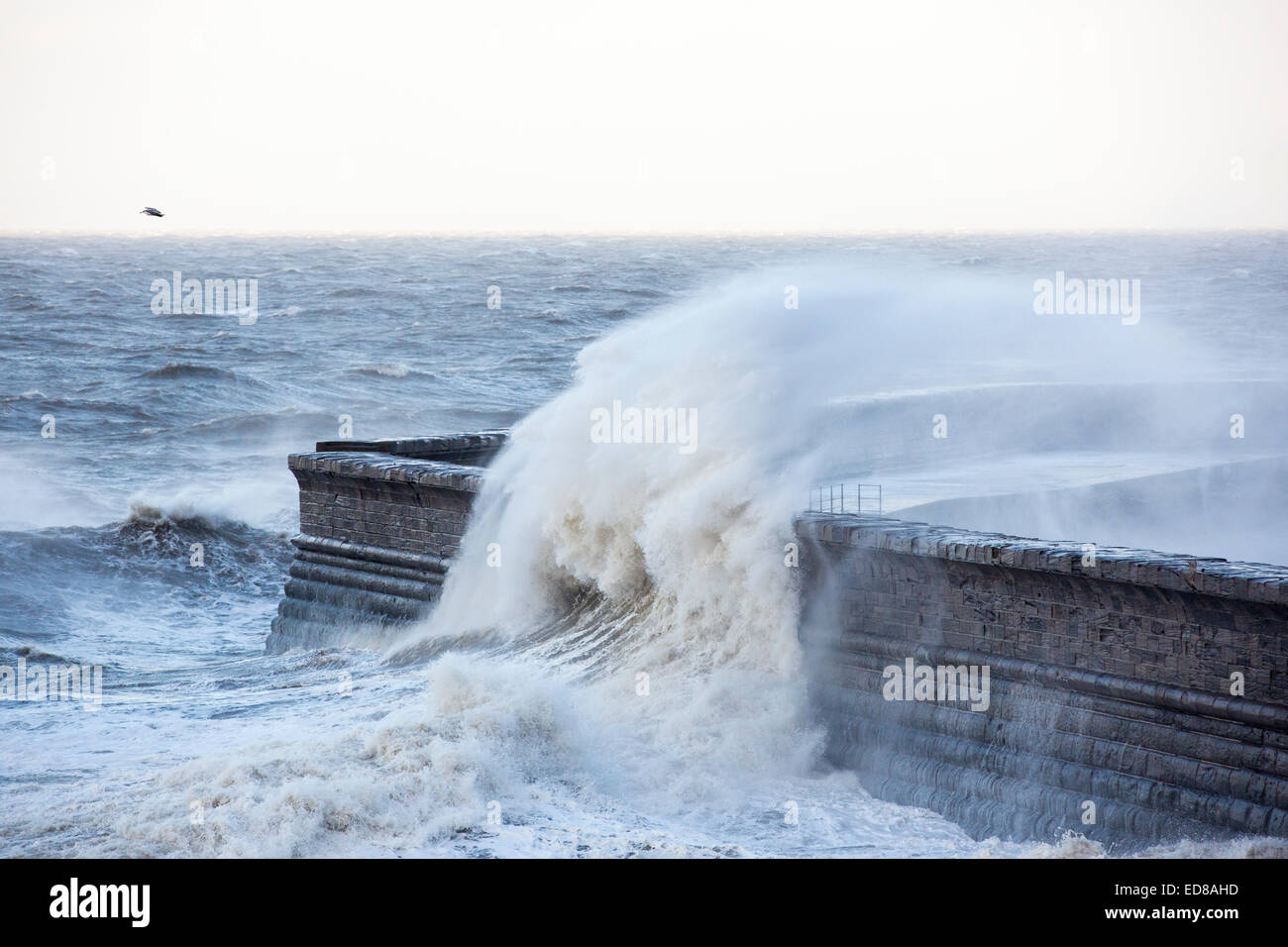 Tempesta di Extreme Waves pastella Whitehaven Harbour, Cumbria, Regno Unito nel dicembre 2014. Foto Stock