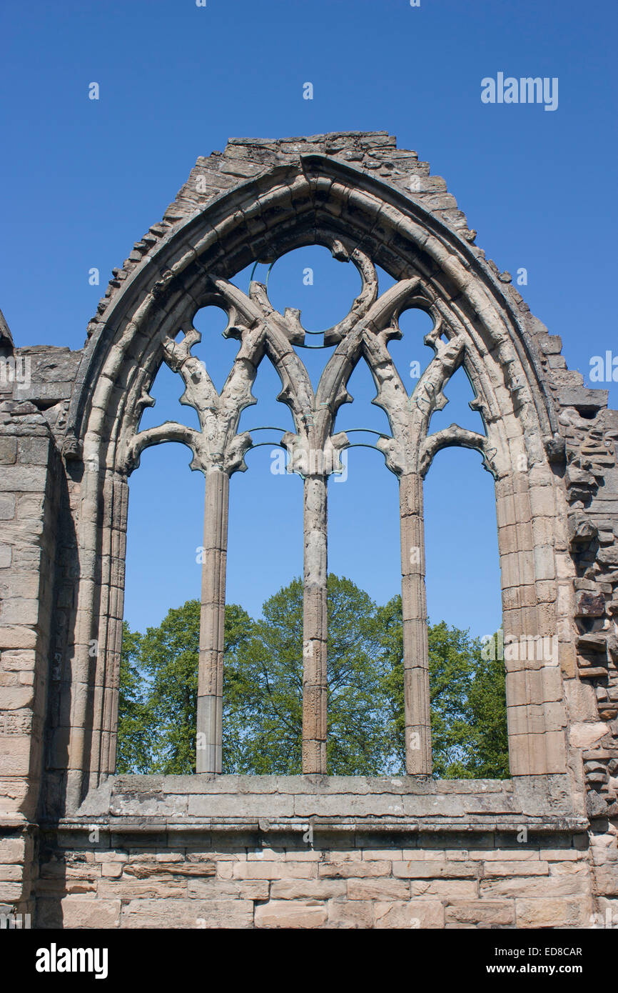 Regno Unito, Scozia, Elgin, Elgin Cathedral rovine Foto Stock