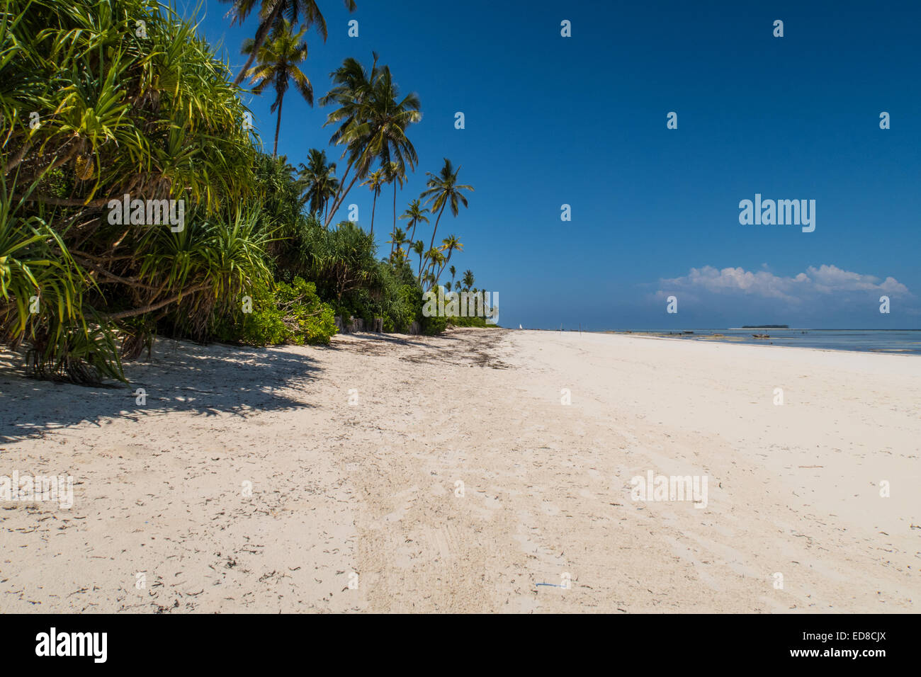 Zanzibar Foto Stock