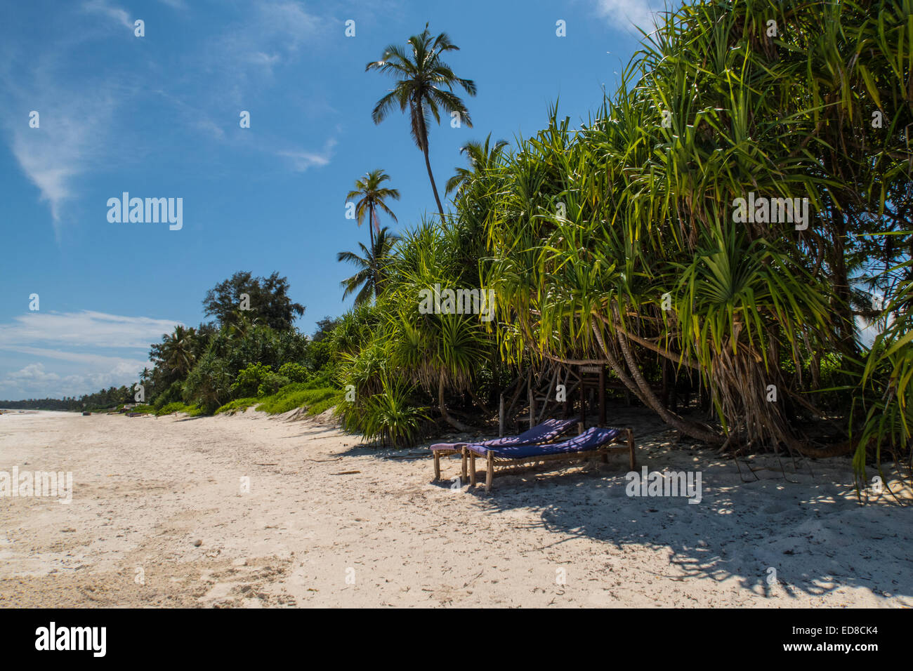 Zanzibar Foto Stock