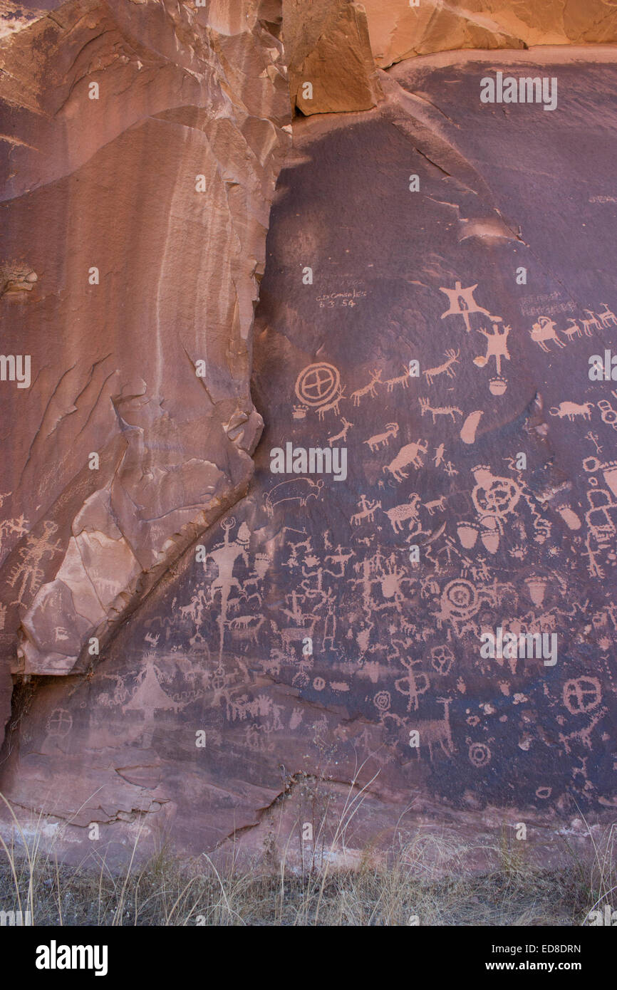 Stati Uniti d'America, Utah, vicino al quartiere degli aghi del Parco Nazionale di Canyonlands, Newspaper Rock membro Monumento Hostorical Foto Stock