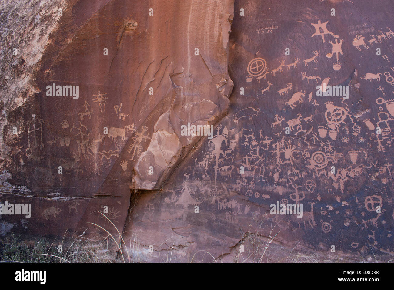 Stati Uniti d'America, Utah, vicino al quartiere degli aghi del Parco Nazionale di Canyonlands, Newspaper Rock membro Monumento storico, Petroglyph Foto Stock