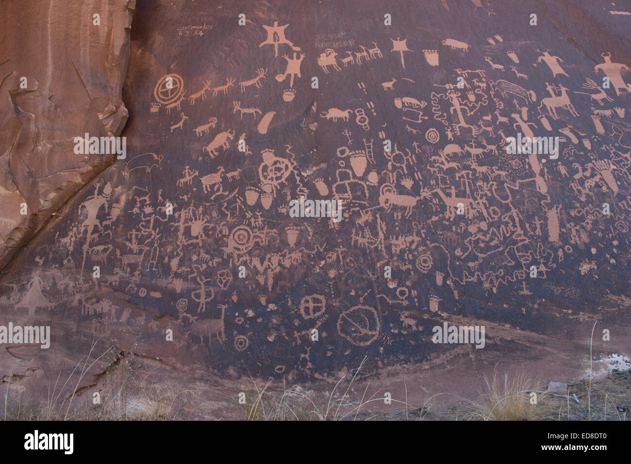 Stati Uniti d'America, Utah, vicino al quartiere degli aghi del Parco Nazionale di Canyonlands, Newspaper Rock membro Monumento storico, Petroglyph Foto Stock