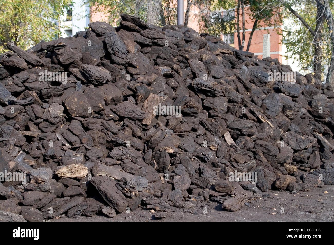 La lignite in magazzino in attesa di vendere. Foto Stock