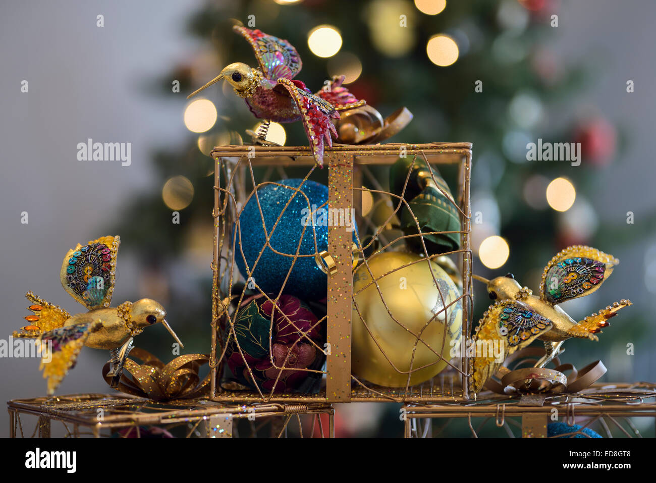 Natale ornamentali confezioni regalo con sfere e colibrì di fronte decorate albero Foto Stock