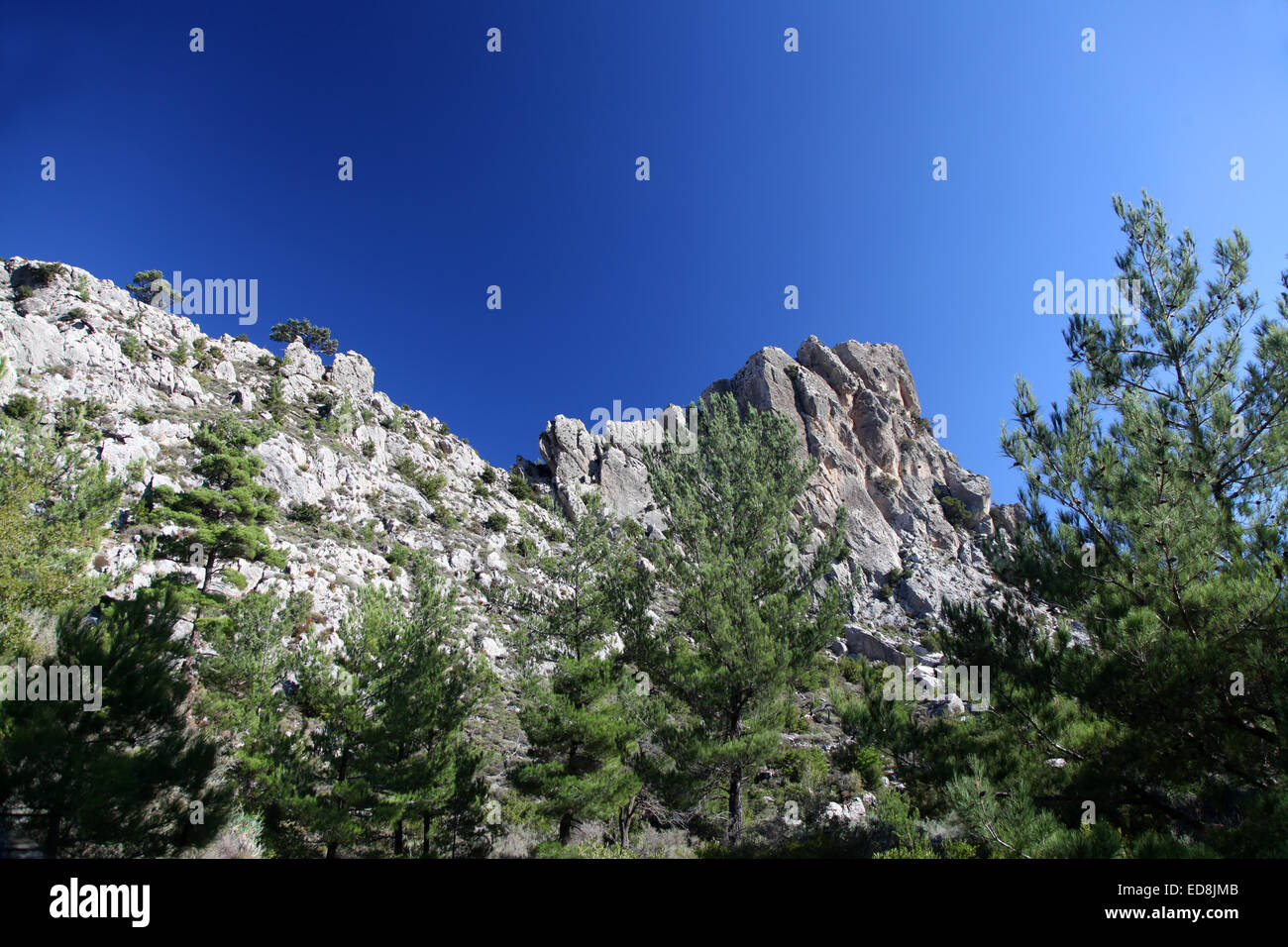 Cime scoscese e pini caratterizzano il paesaggio cretese Foto Stock