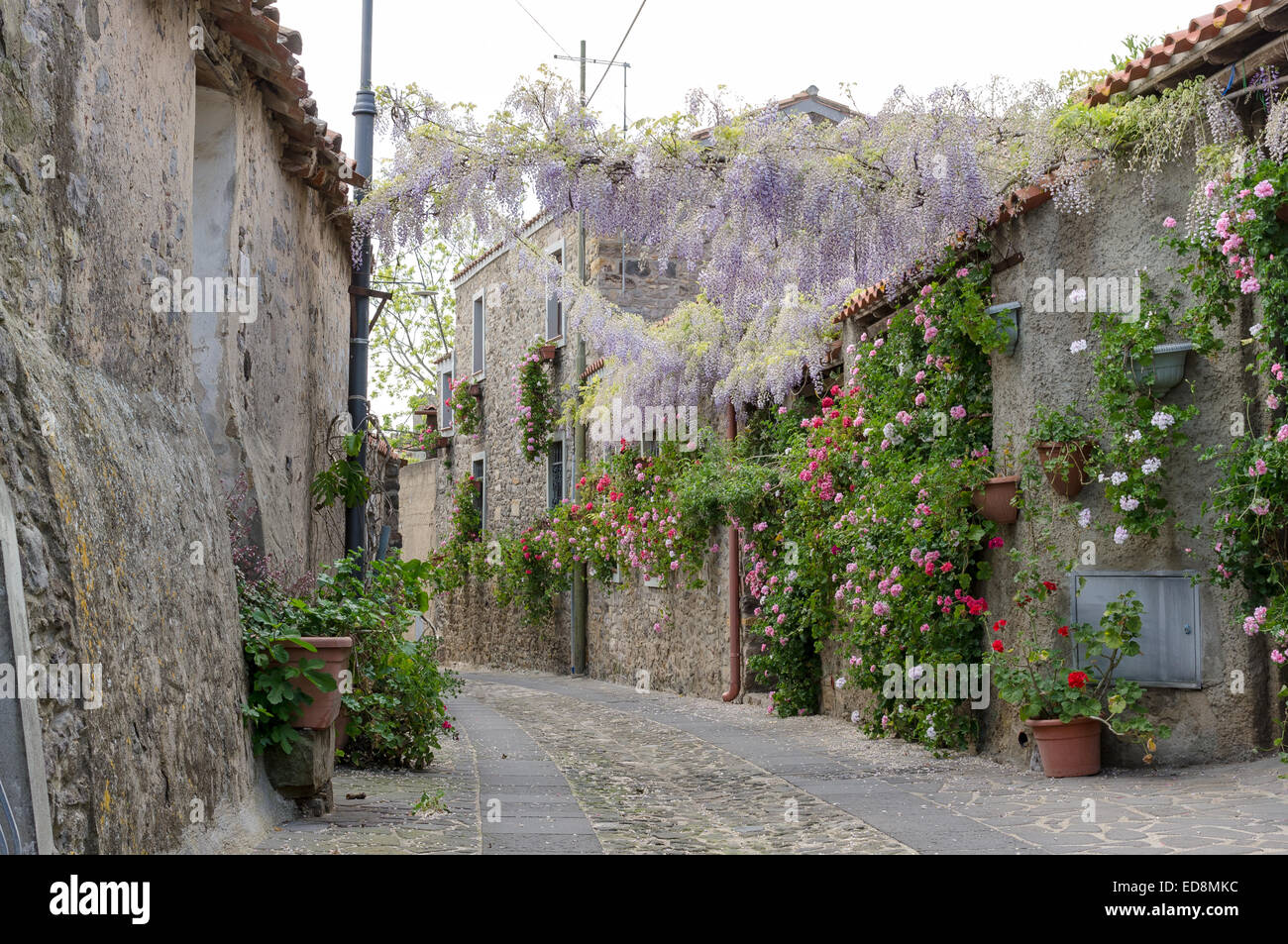 Strada stretta di fiori in una piccola città della Sardegna Foto Stock