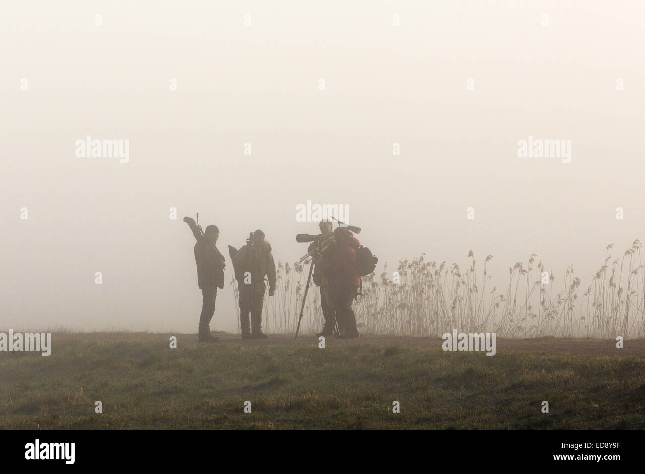 Gli amanti del birdwatching una mattinata nebbiosa Foto Stock