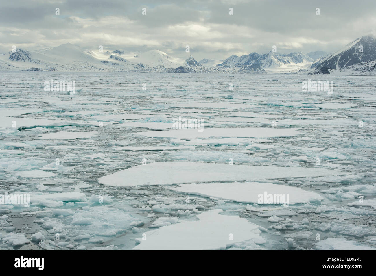 Il ghiaccio del Mare Artico e montagne di Raudfjord, Spitsbergen sull'arcipelago delle Svalbard Foto Stock