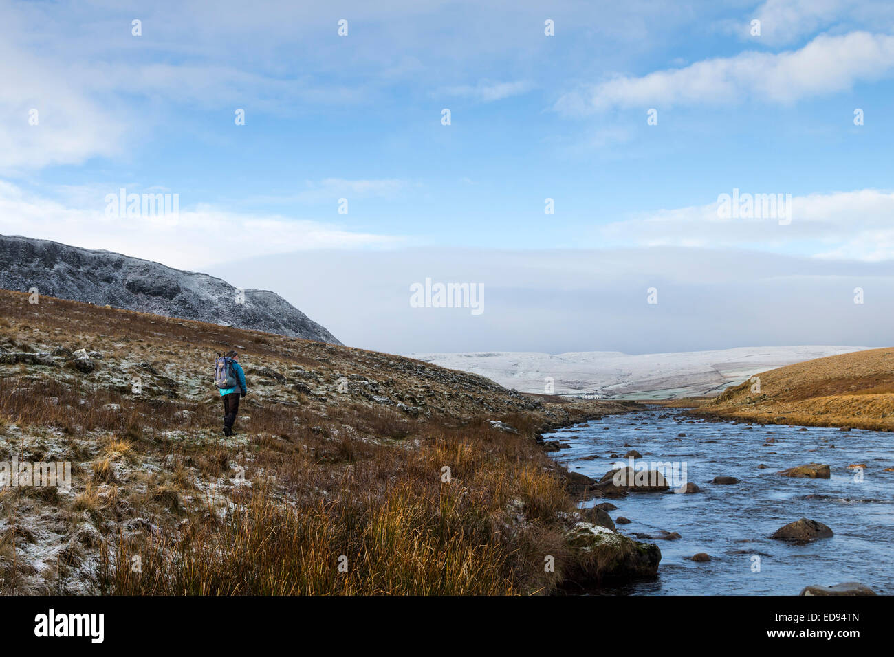 Il Fiume Tees e la vista verso la Banca Widdy fattoria dal pascolo Cronkley Teesdale County Durham Regno Unito Foto Stock