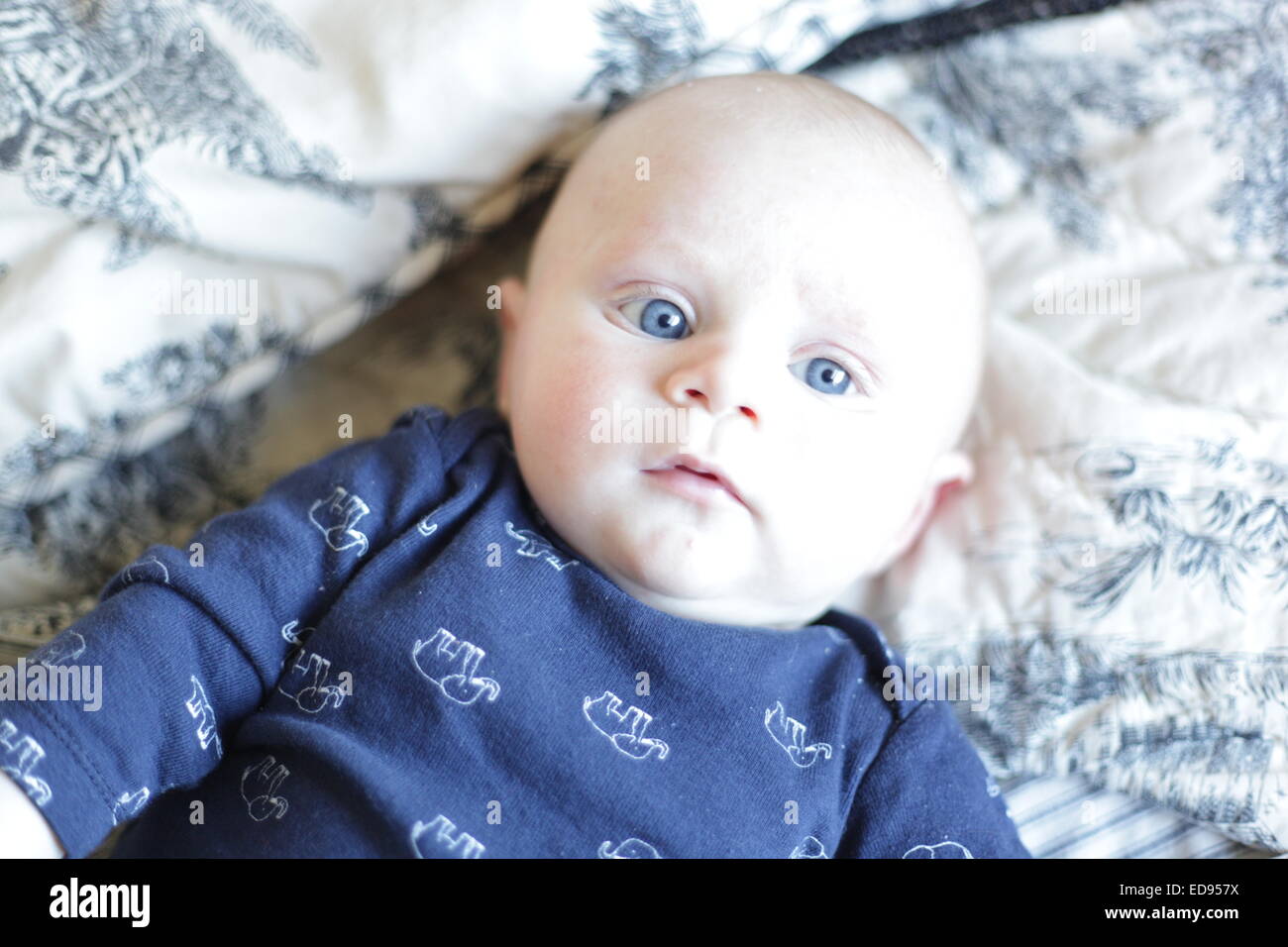 Baby boy con gli occhi blu recante su di un letto Foto Stock