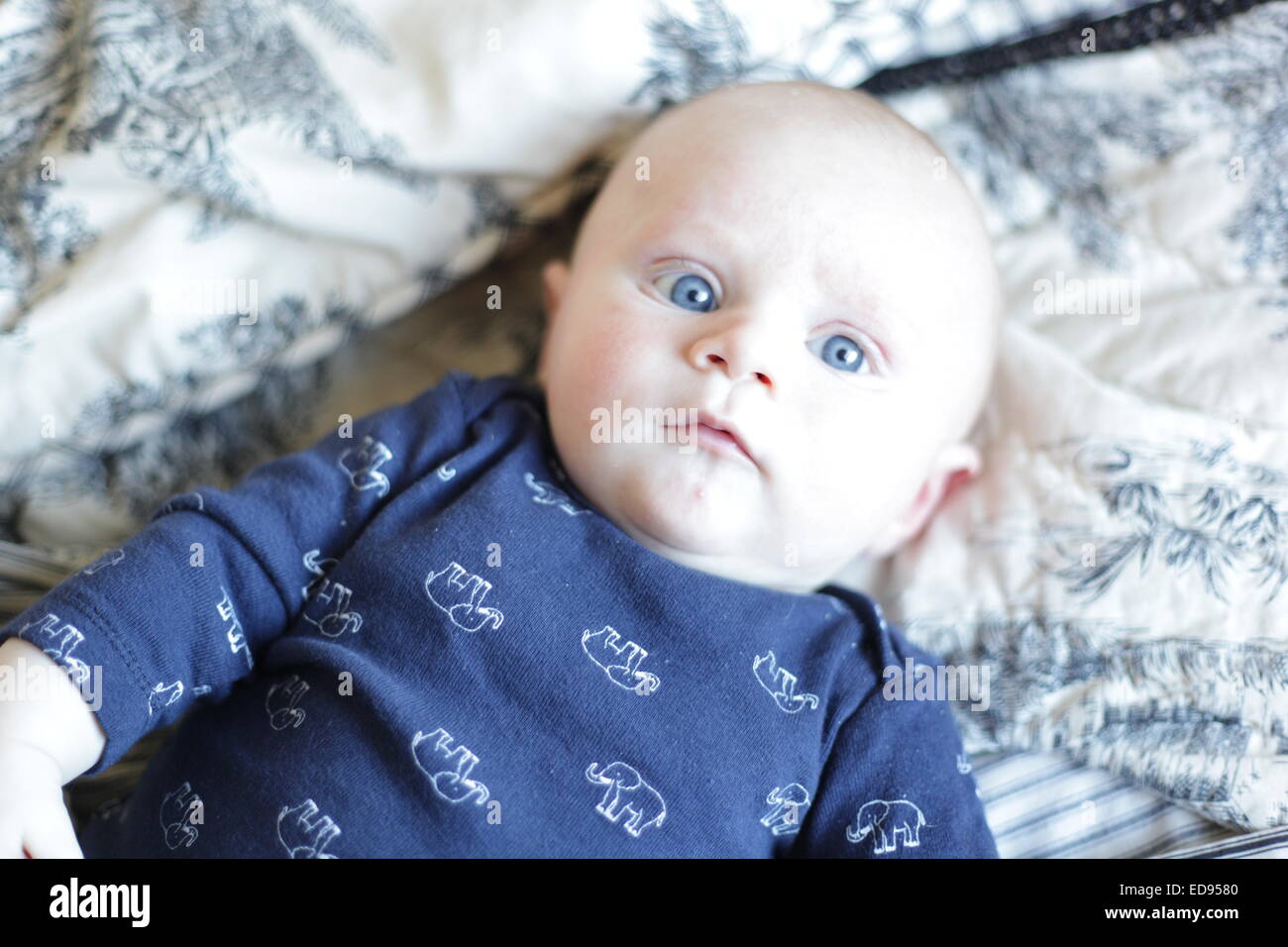 Baby boy con gli occhi blu recante su di un letto Foto Stock