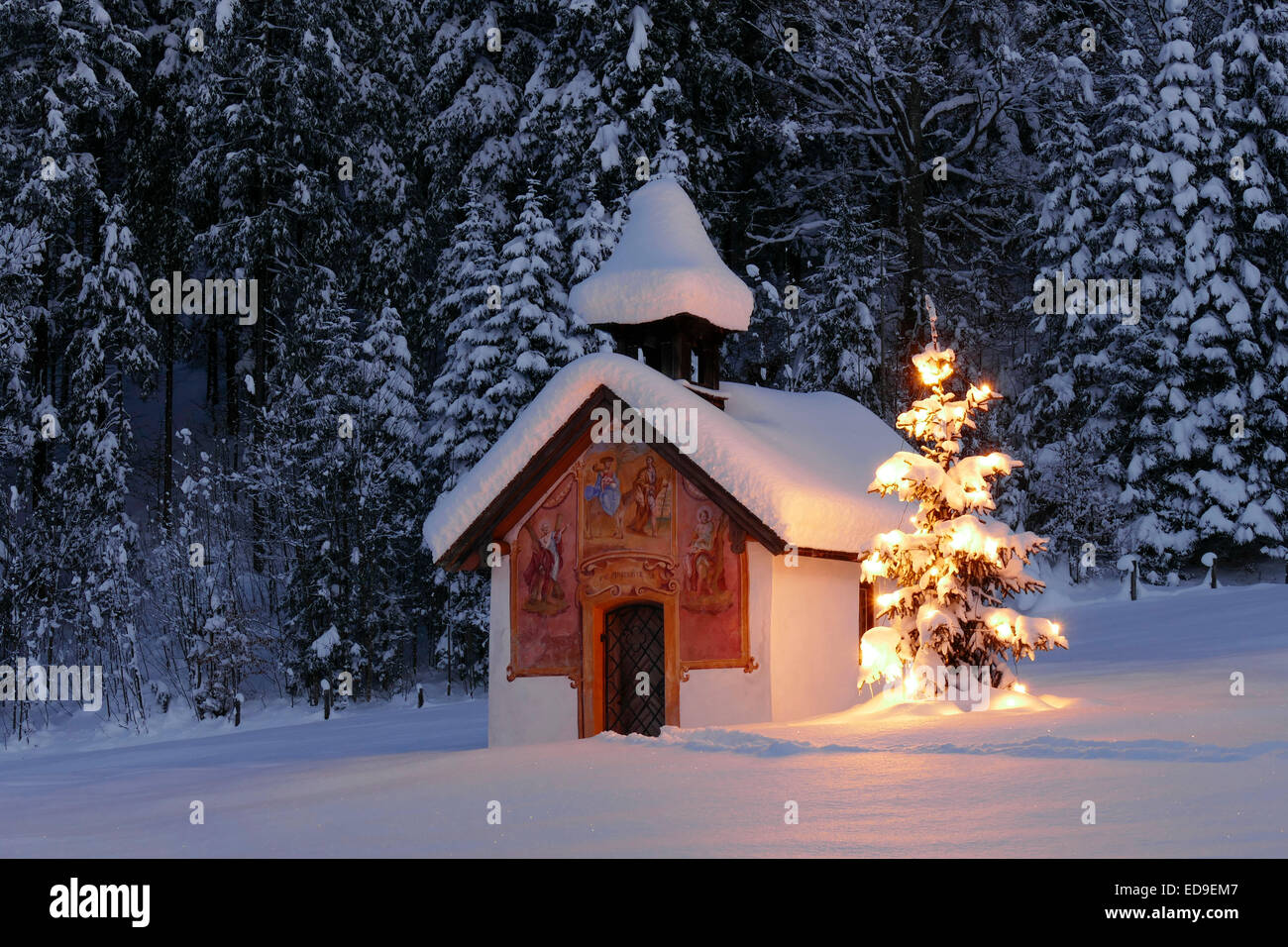 Beleuchteter Christbaum vor einer Kapelle im Winter, Bayern, Oberbayern, Deutschland, Europa illuminato albero di Natale in fron Foto Stock