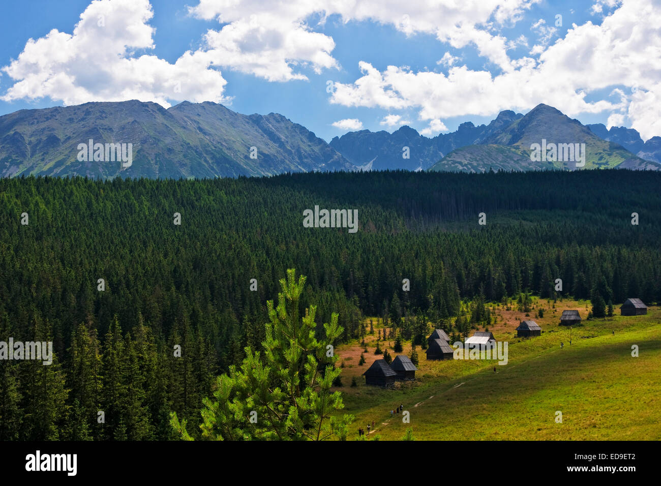 Vista della valle Olczyska della Tatra polacchi Foto Stock