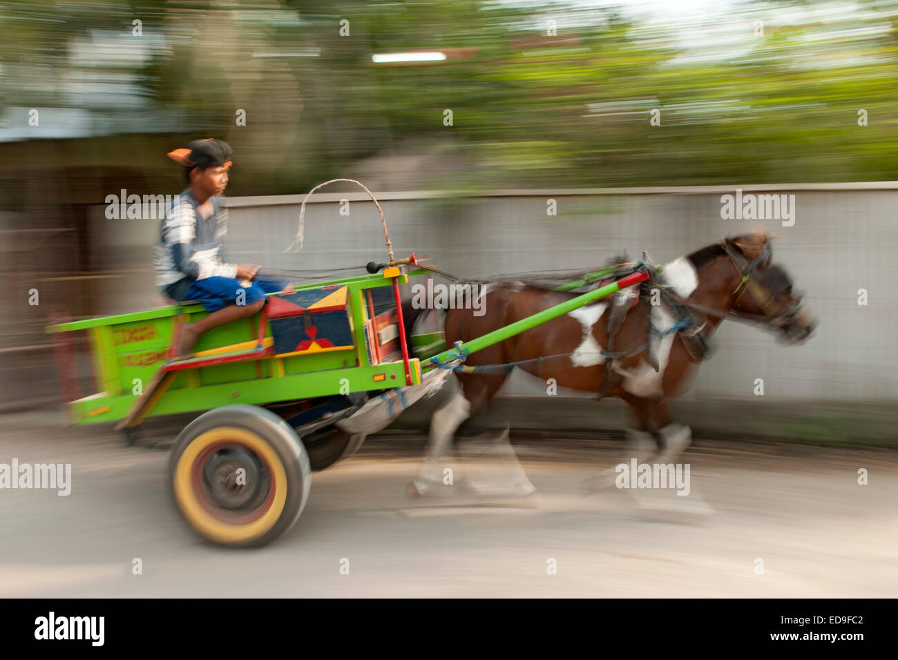 Carrello a cavallo su l'isola di Gili Air, Indonesia. Foto Stock