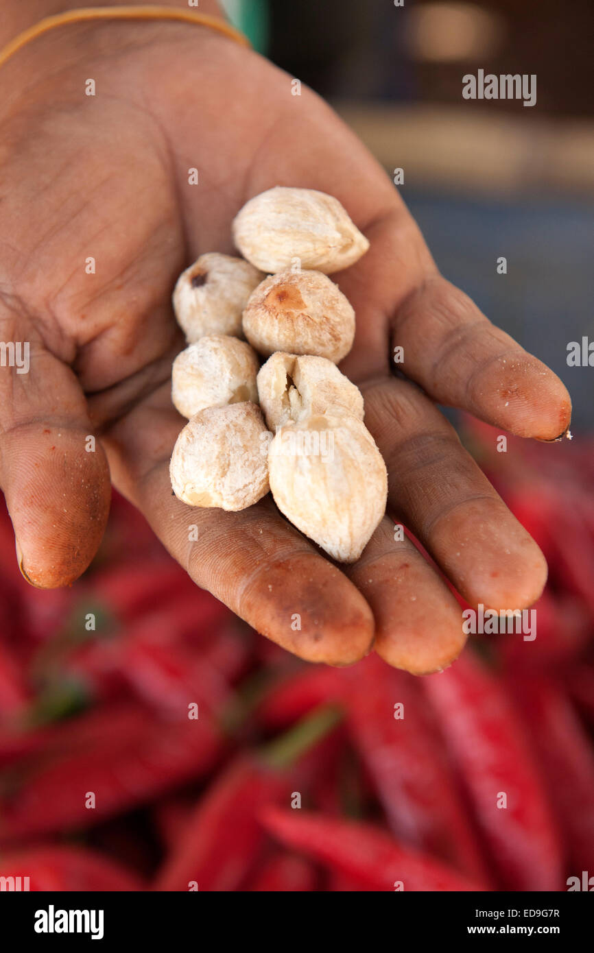 Noci di Macadamia per la vendita nel mercato di Wuring villaggio di pescatori vicino a Maumere sull isola di Flores, Indonesia. Foto Stock