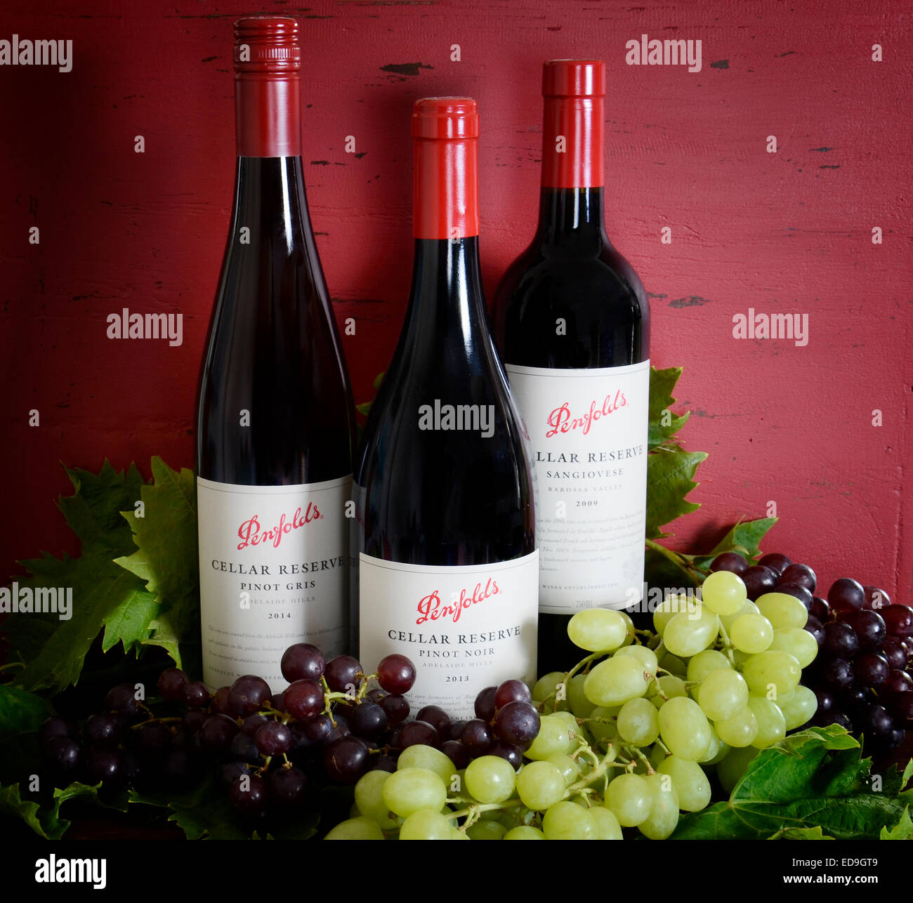 Premio Australiano di esportazione di vino di qualità con bottiglie di Penfolds cantina vini di riserva Foto Stock