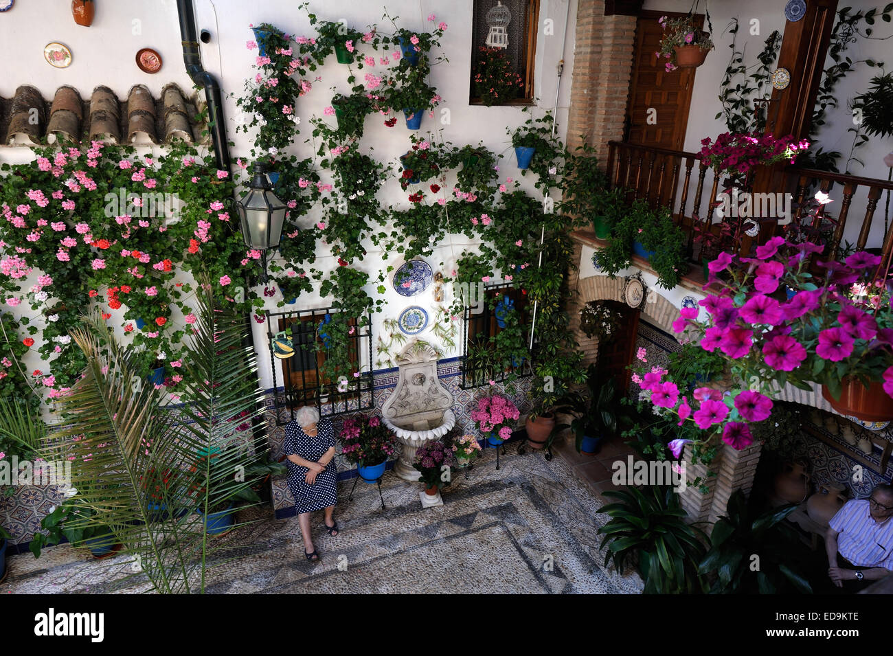 Cortile durante il Festival dei Patios (el Festival de Los Patios Cordobeses), Cordoba, Spagna Foto Stock