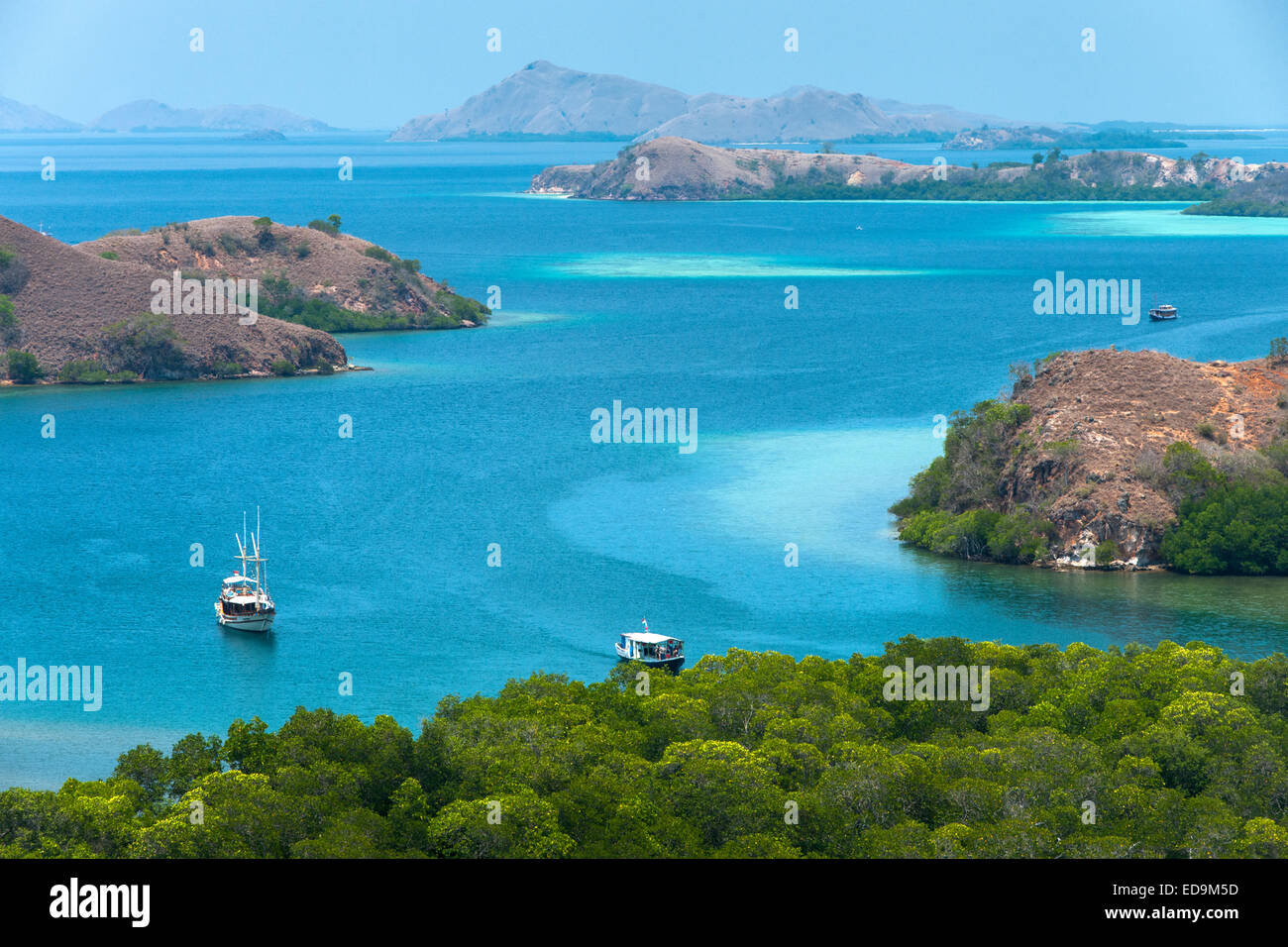 Il litorale di Rinca isola in Nusa Tenggara Est regione dell'Indonesia. Foto Stock