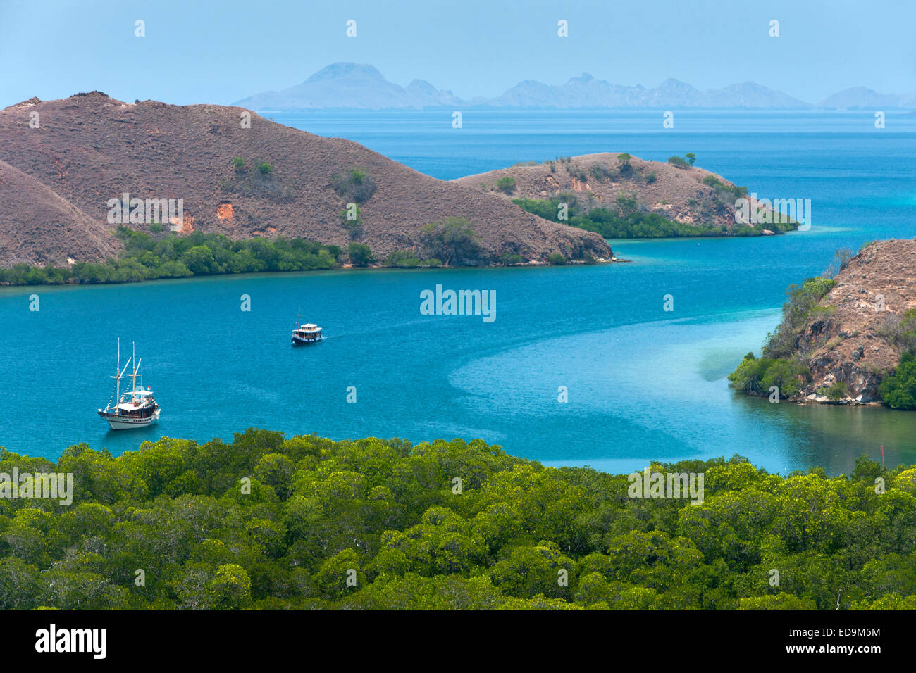 Il litorale di Rinca isola in Nusa Tenggara Est regione dell'Indonesia. Foto Stock