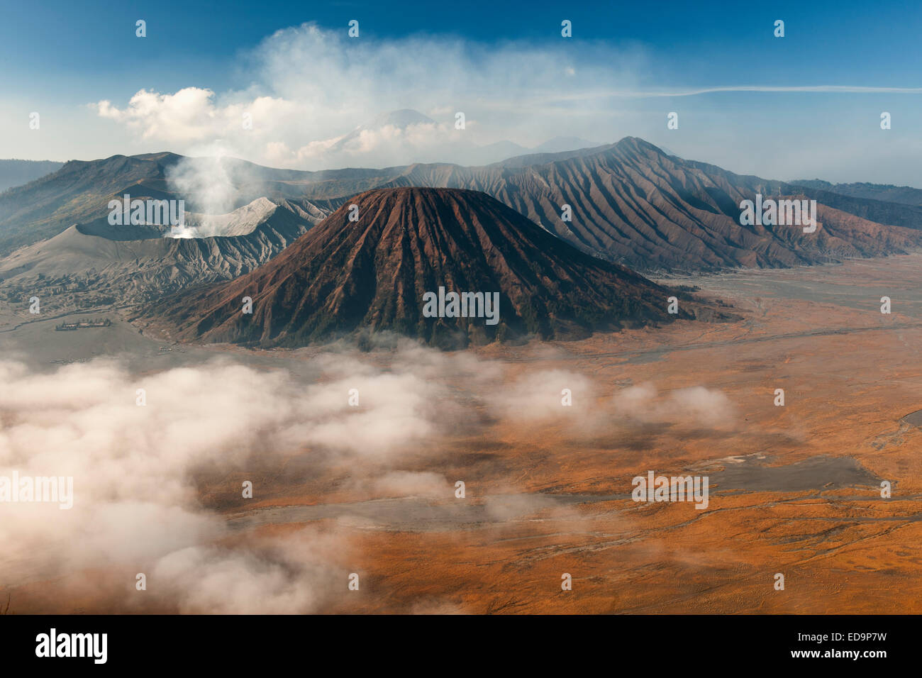 Monte Bromo (vapore di sfiato sinistra) e Gunung Semeru (fondo) in bromo Tengger Semeru National Park, Java, Indonesia. Foto Stock