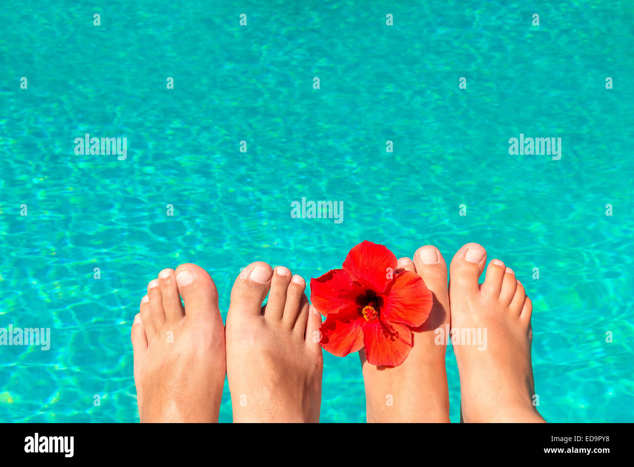 Macro foto agli sposi novelli piedi in piscina con fiore Foto Stock