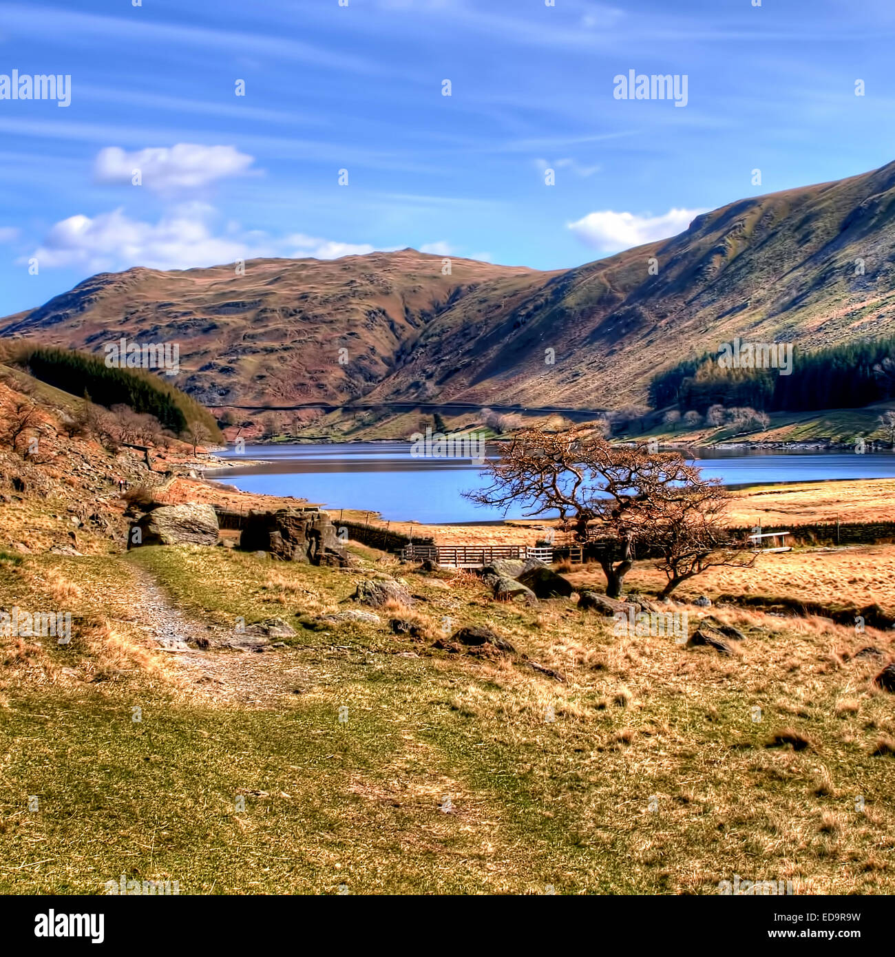 Scafell nel Parco Nazionale del Distretto dei Laghi, Cumbria Foto Stock