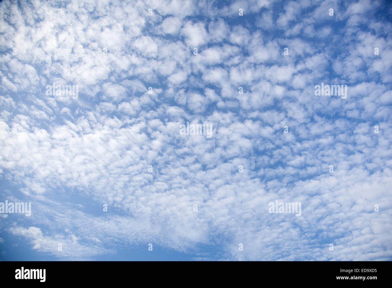 Modello regolare di soffici nuvole nel cielo blu Foto Stock