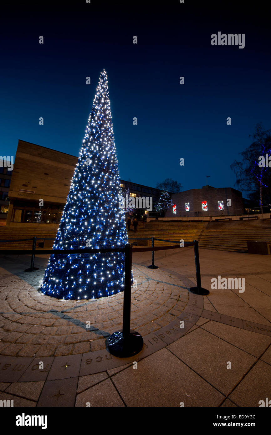 La piazza UEA Campus University of East Anglia notte albero di Natale Foto Stock