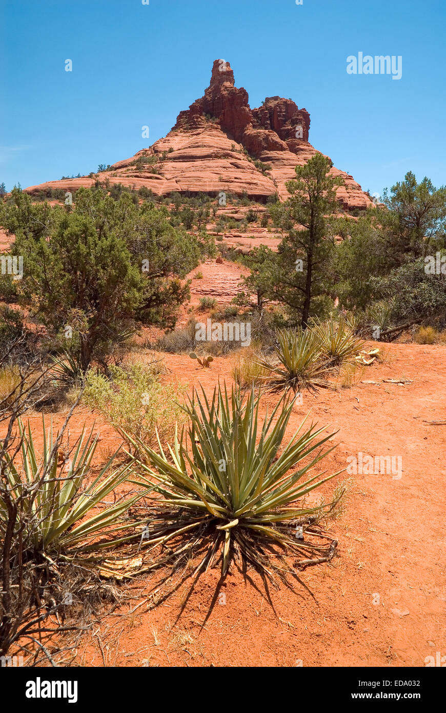 Bell Rock Arizona Rocce Rosse Foto Stock