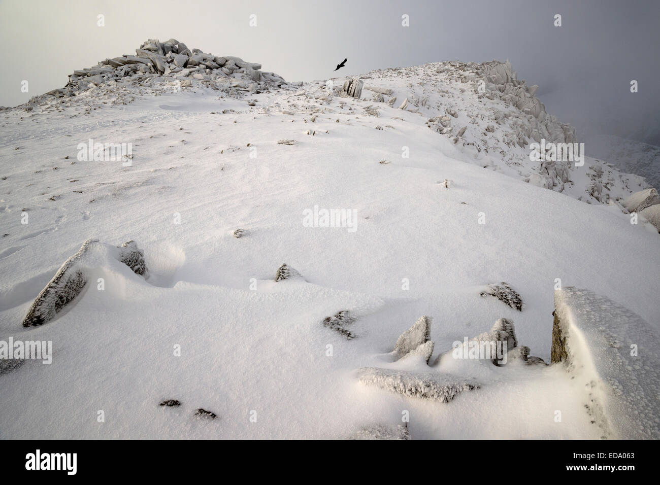 Vista invernale del vertice di Glyder Fach, Parco Nazionale di Snowdonia, Wales, Regno Unito Foto Stock