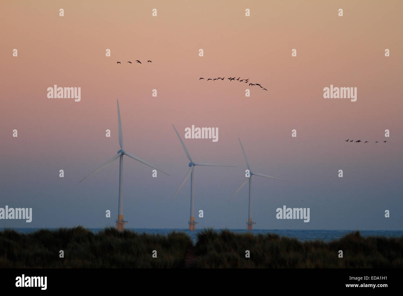 Bird flying home, il tramonto al mare del Nord, Scrosby, Great Yarmouth,Norfolk, Regno Unito Foto Stock