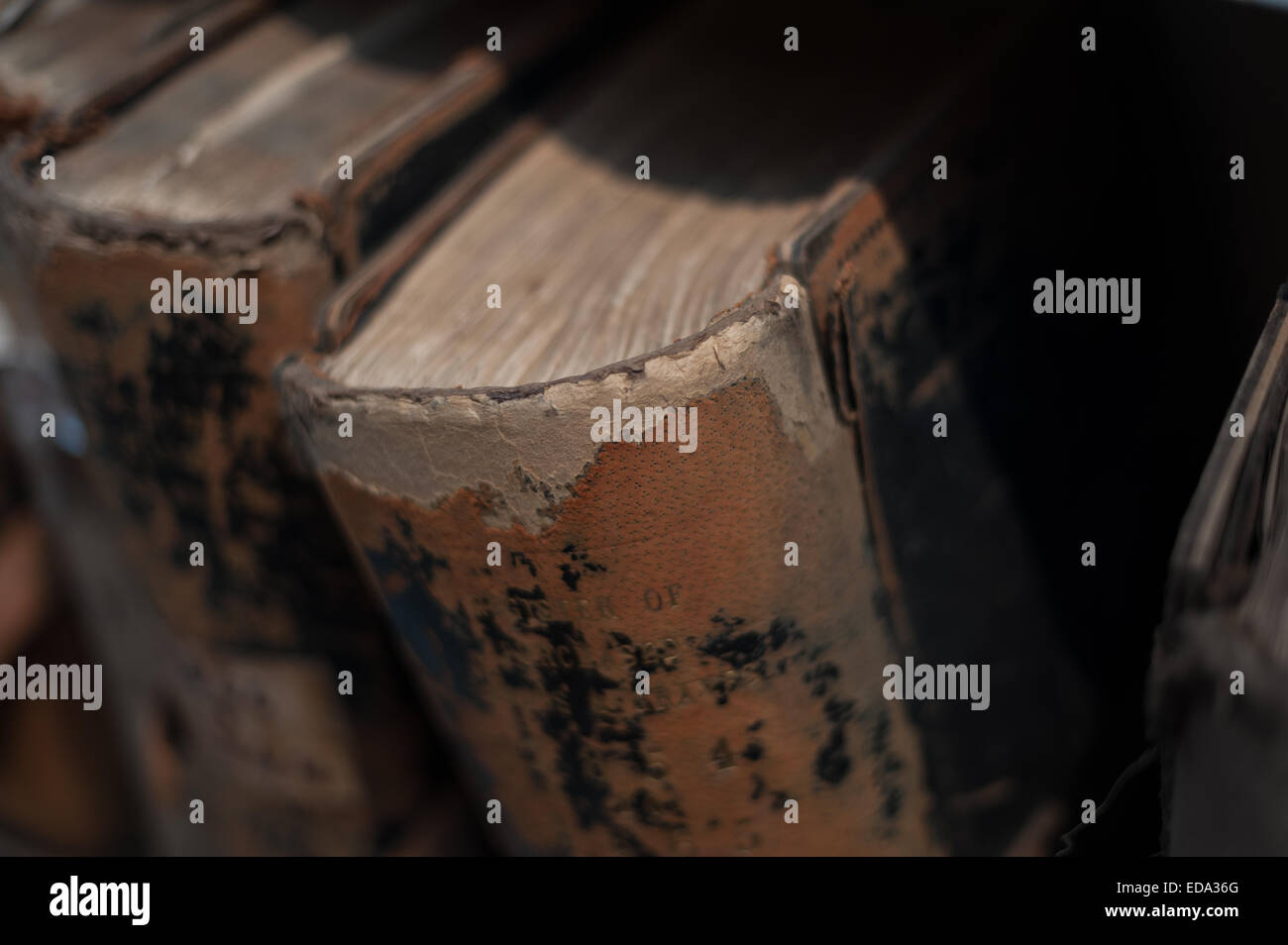 Riga del registro delle sepolture dei vecchi record in cuoio libri rilegati volumi periodici a copertura del secolo scorso dell'Ottocento e la seconda guerra mondiale 1 Foto Stock