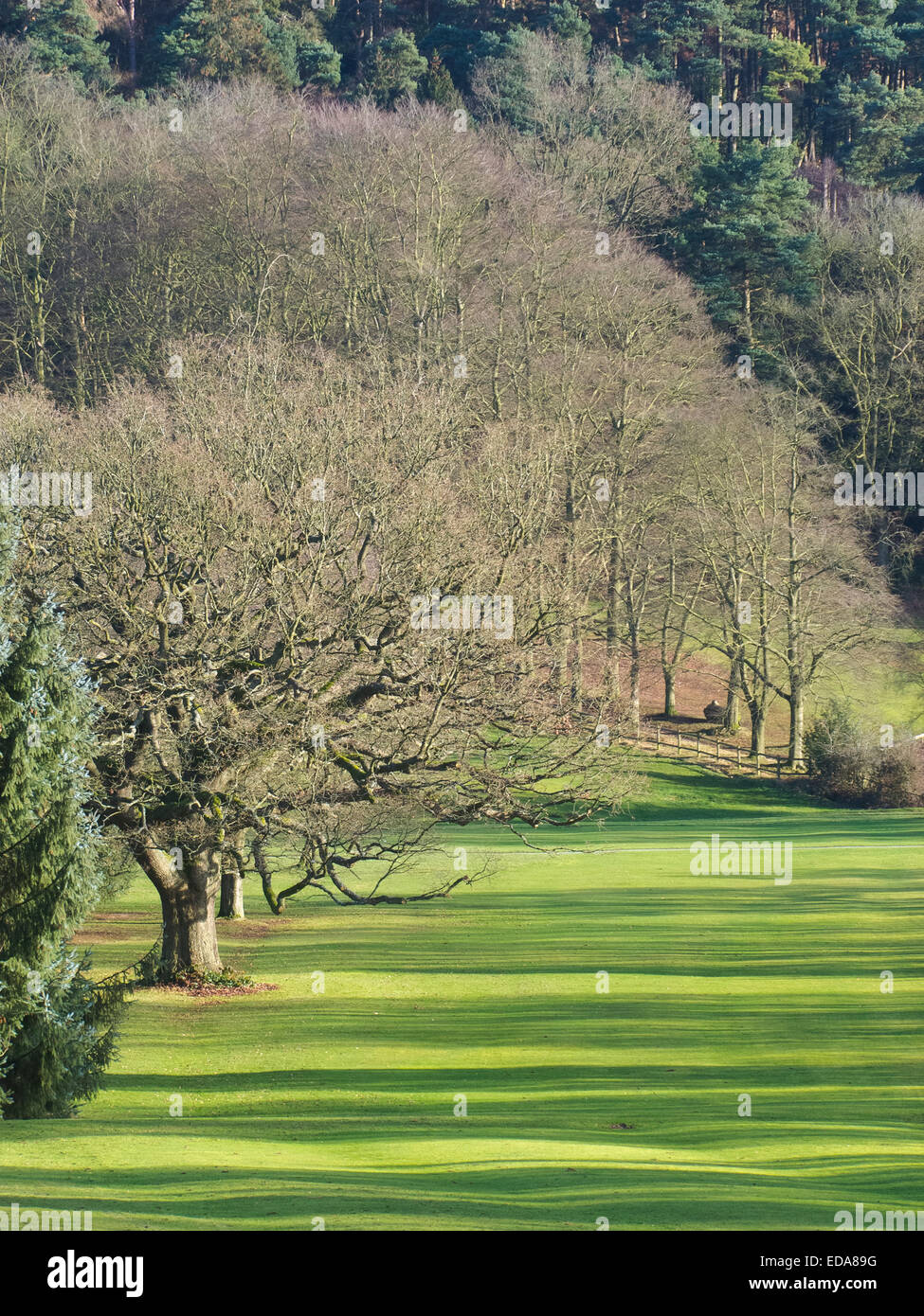 Lickey Hills Golf Course, Lickey Hills Country Park, Worcestershire, Inghilterra, Regno Unito in inverno Foto Stock