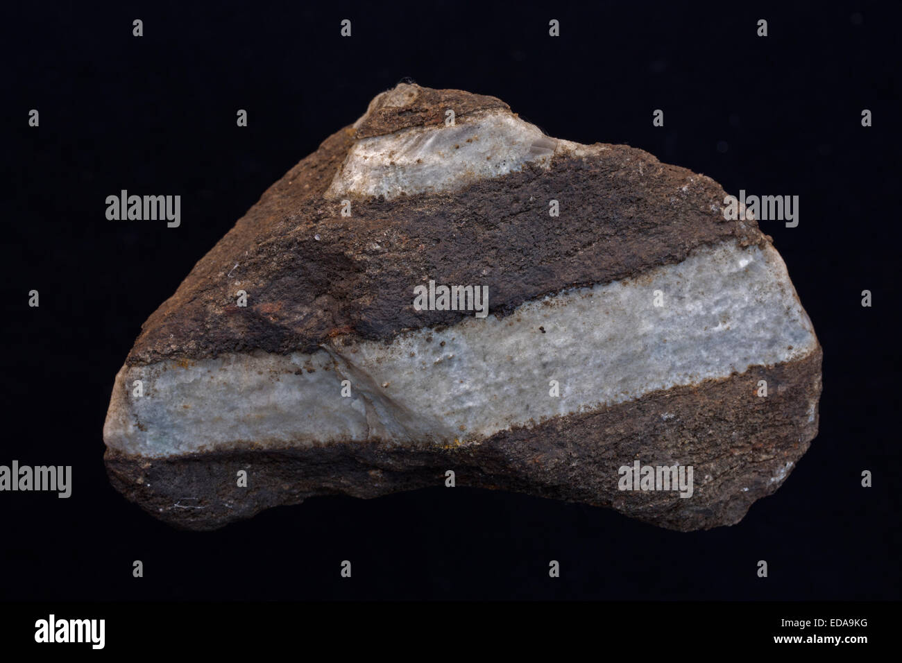 Foliated gneiss, Maryland, rocce metamorfiche Foto Stock