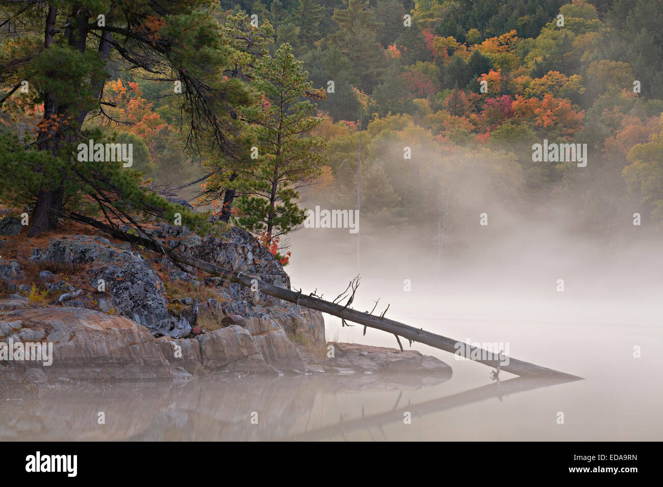 Nebbia mattutina sul Lago di grotta in Killarney Provincial Park. In Ontario, Canada. Foto Stock