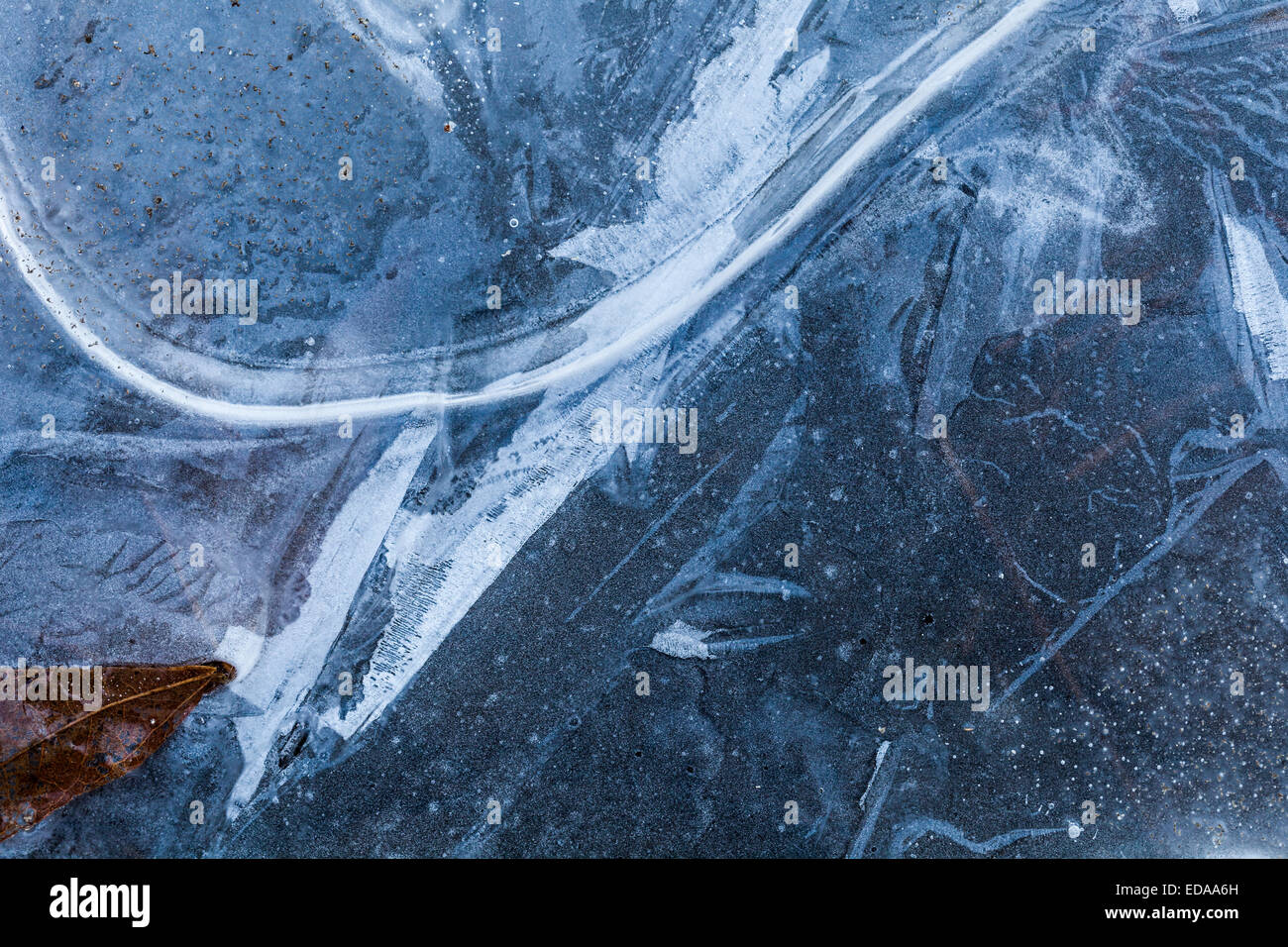 Immagine astratta di ghiaccio con una foglia intrappolato Foto Stock