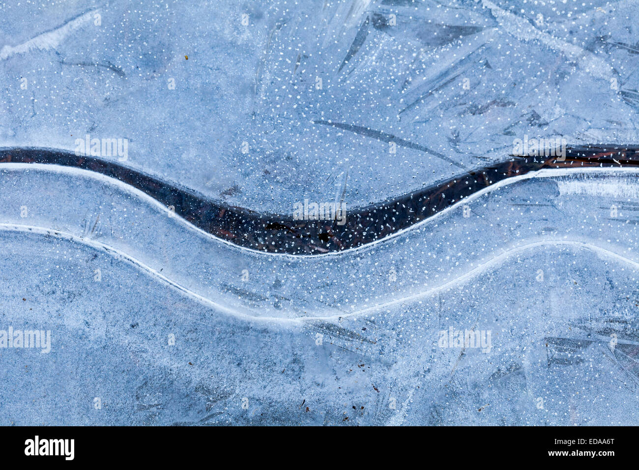 Frattura di curva su una pozzanghera congelata Foto Stock