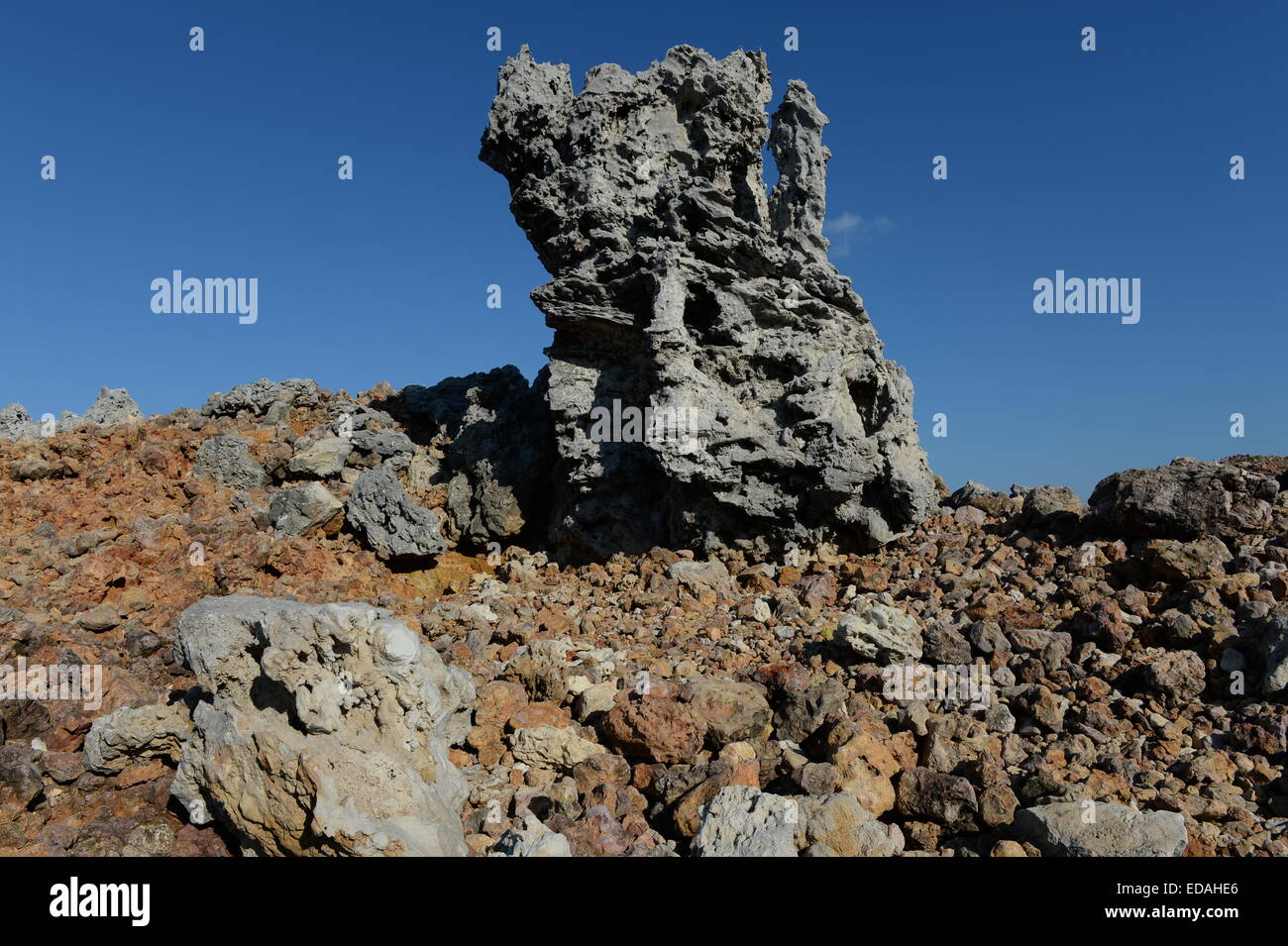 Solo la roccia più dura è rimasto lasciando questa scultura naturale esposta a Carrapateira Foto Stock
