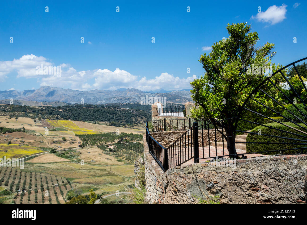 Montagne andaluso da Ronda, Spagna Foto Stock