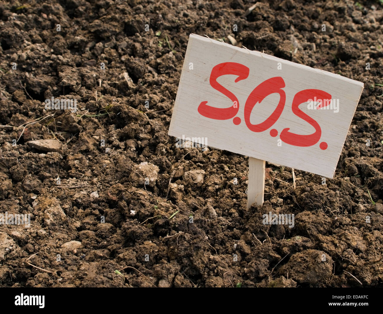Terreno argilloso problema di giardinaggio. Foto Stock