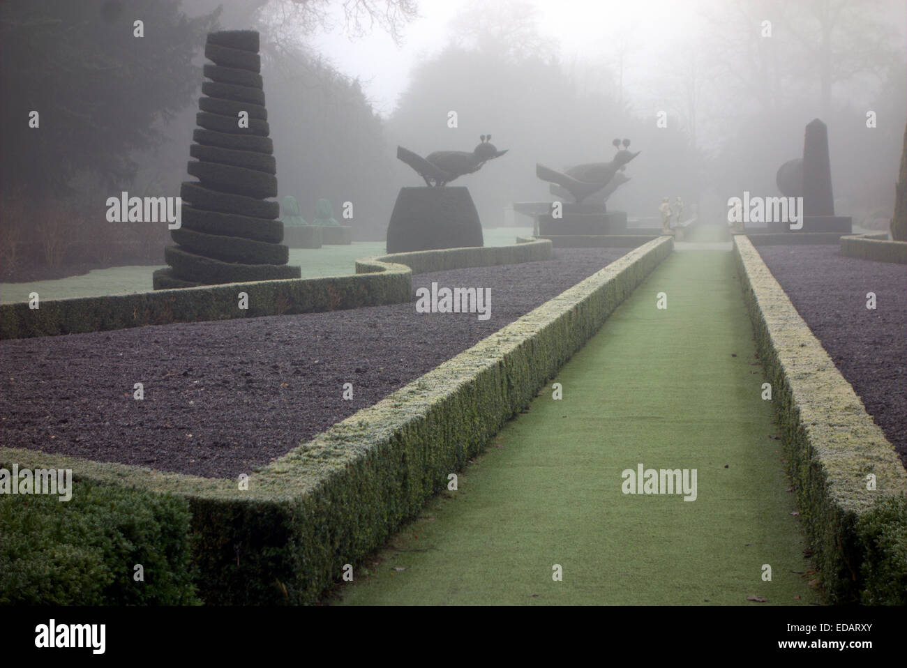 Bosco - Lime Tree avenue o lato dell'unità principale per la casa. Cliveden detiene parte della nazionale di raccolta di piante Foto Stock