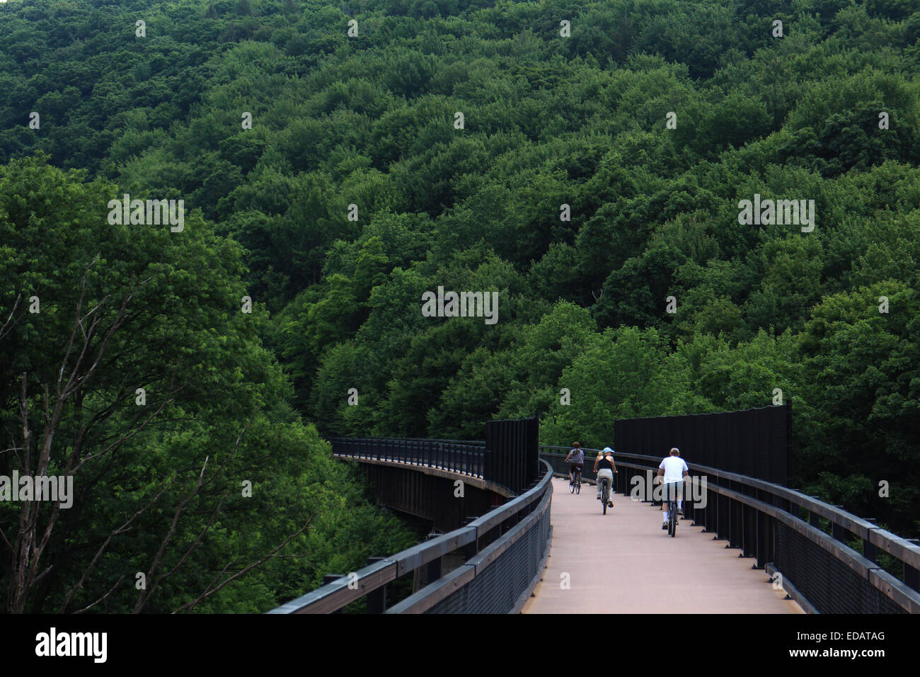 Grande Passaggio di Allegheny Bike Trail Rail bridge Pennsylvania Foto Stock