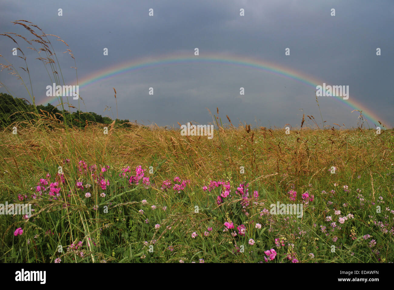 Rainbow su campo di fieno in Pennsylvania Foto Stock