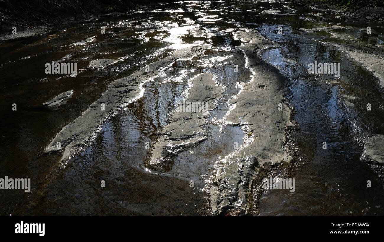 Fossile ripple oceano onde in calcare creek bed Ohio Foto Stock