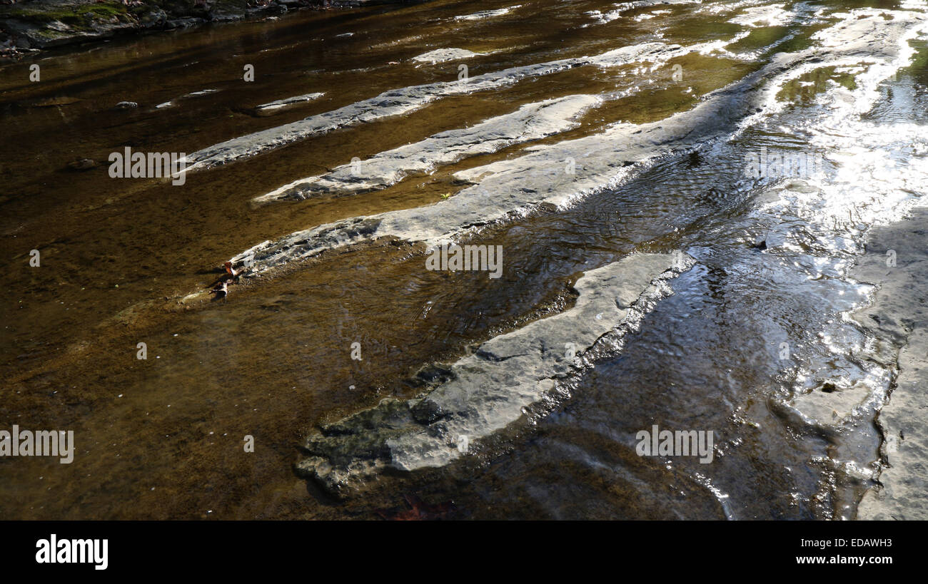 Fossile ripple oceano onde in calcare creek bed Ohio Foto Stock