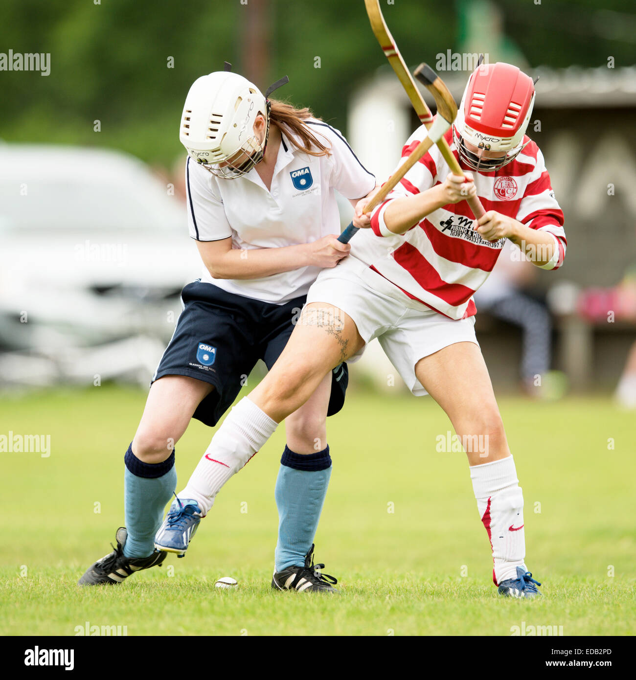 Valerie Fraser Camanachd Cup semi finale per le donne, GMA v Lochaber, suonato a Balgate, Kiltarlity. Foto Stock